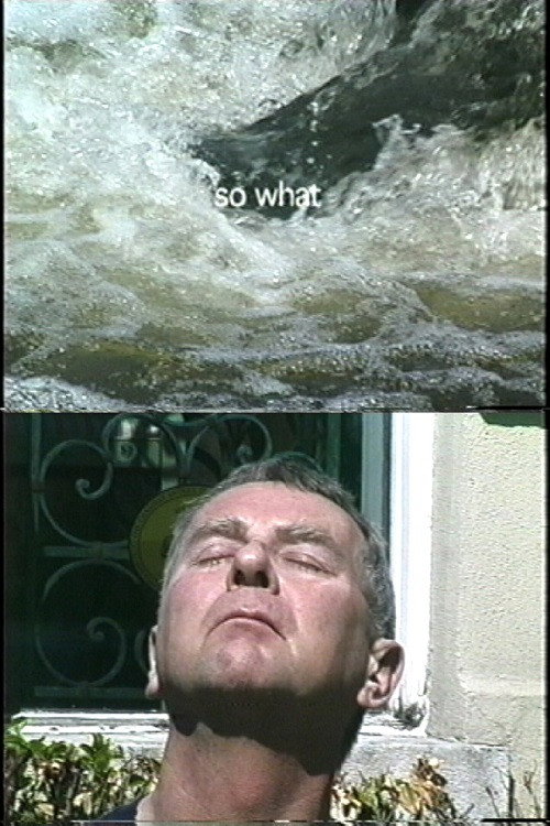 So What? (2004) poster