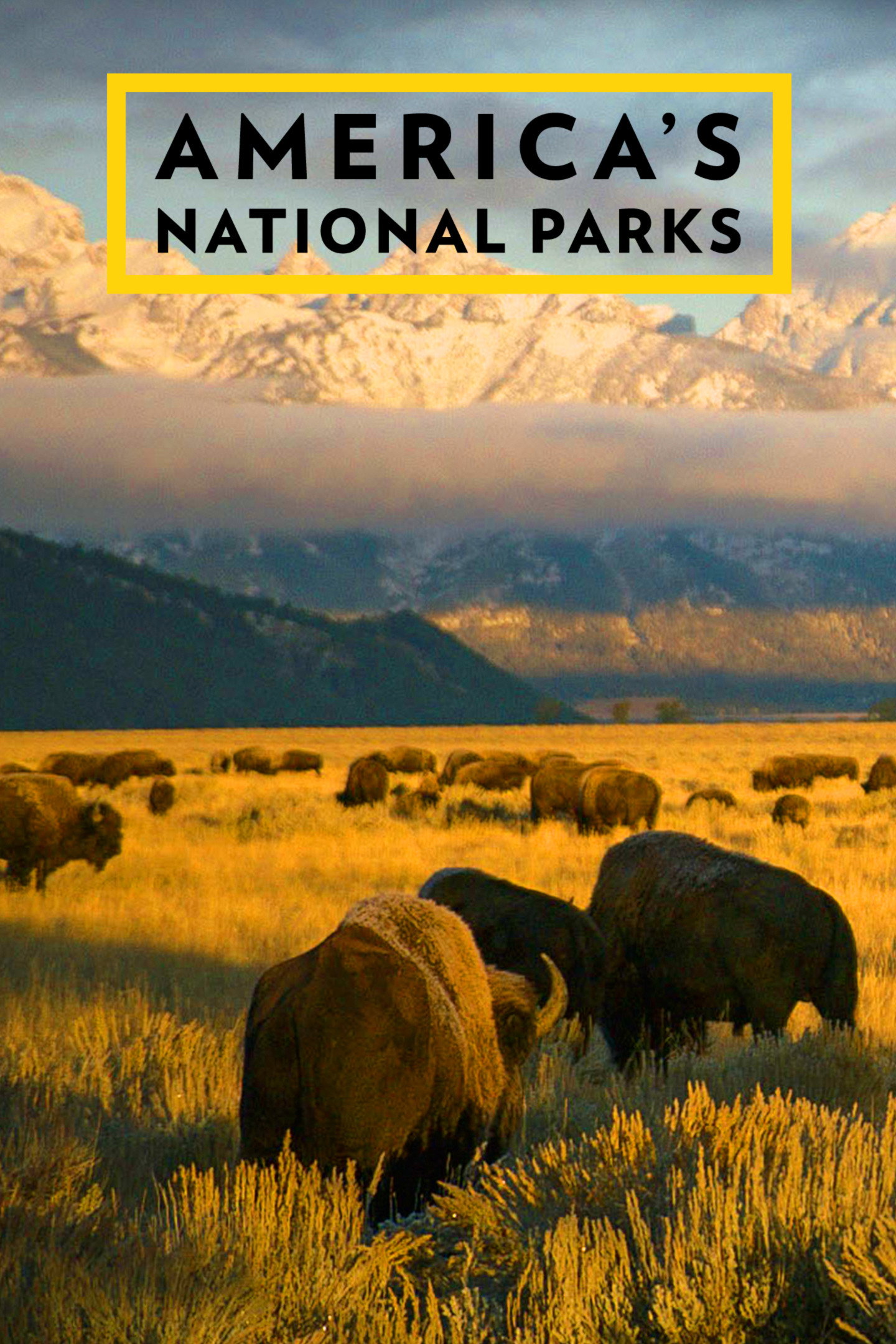 America's National Parks (2015) poster