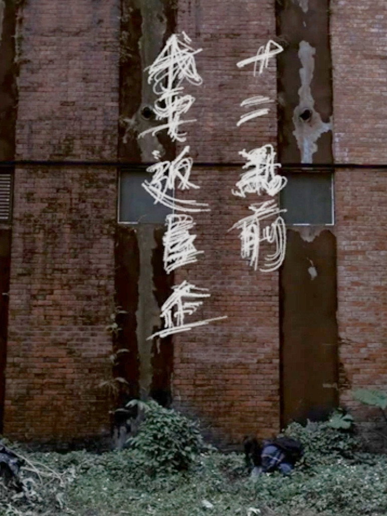 Walk Along The Wall (2021) poster