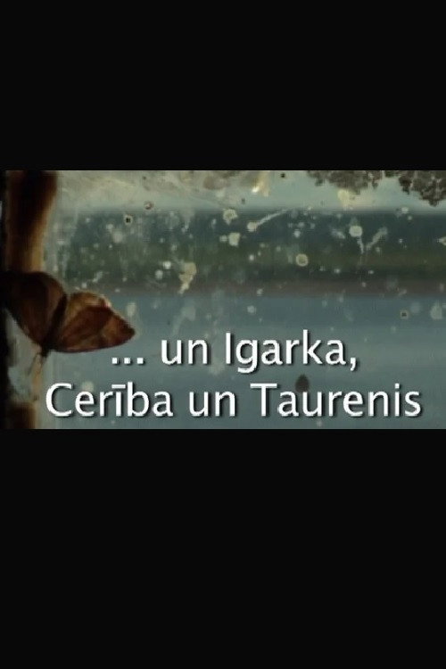 Igarka, Hope and Butterfly (2008) poster
