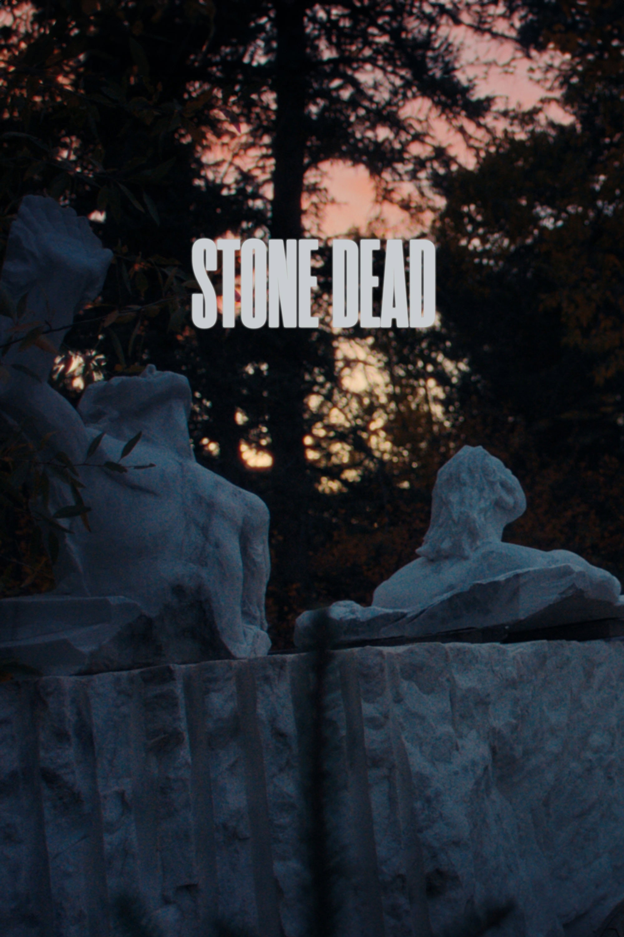 Stone Dead (2026) poster