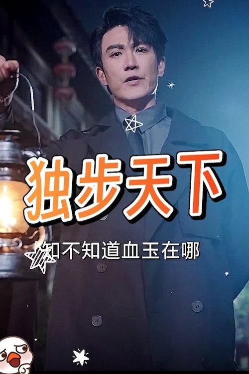 独步天下 (2024) poster