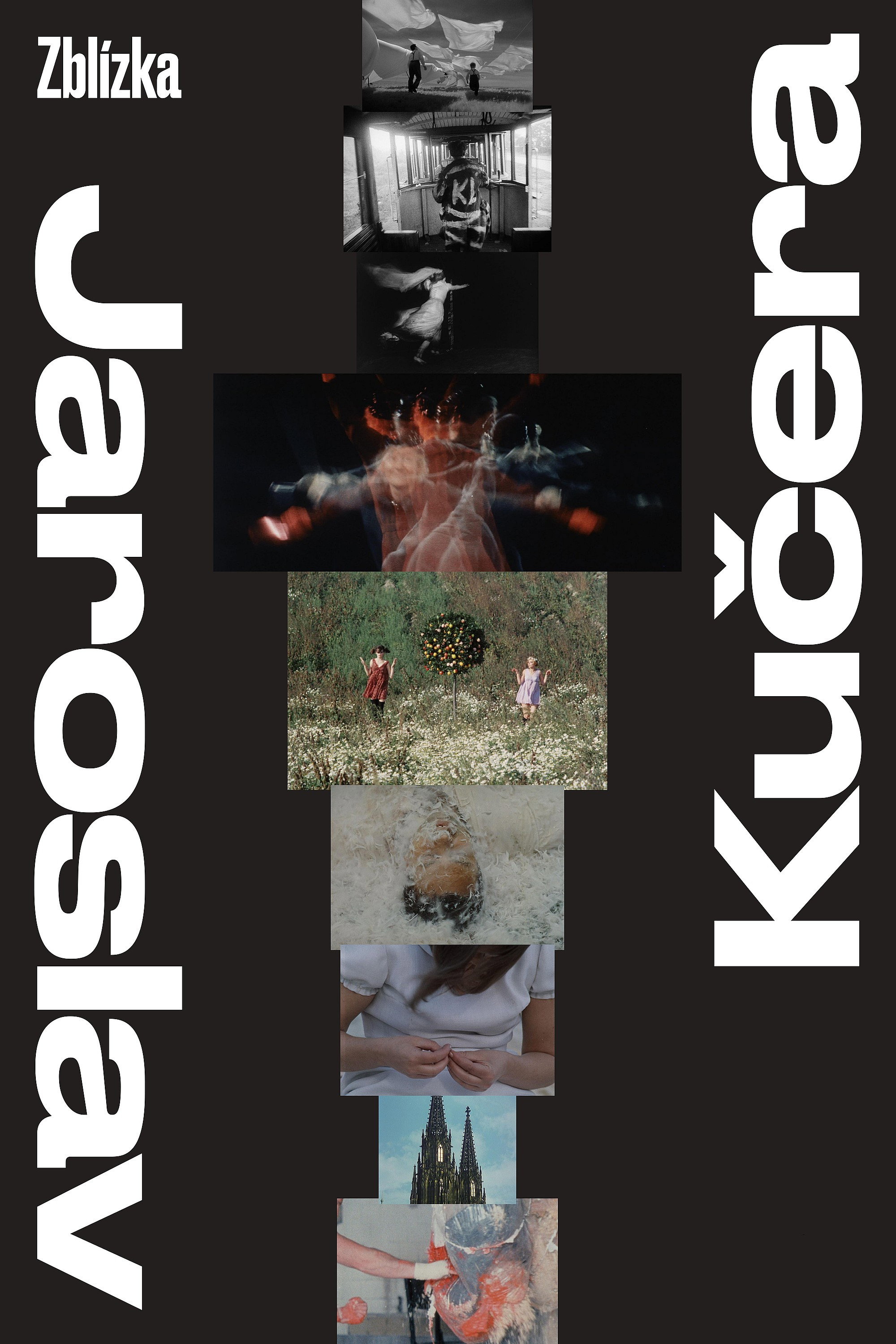 Jaroslav Kucera - A Portrait (2019) poster
