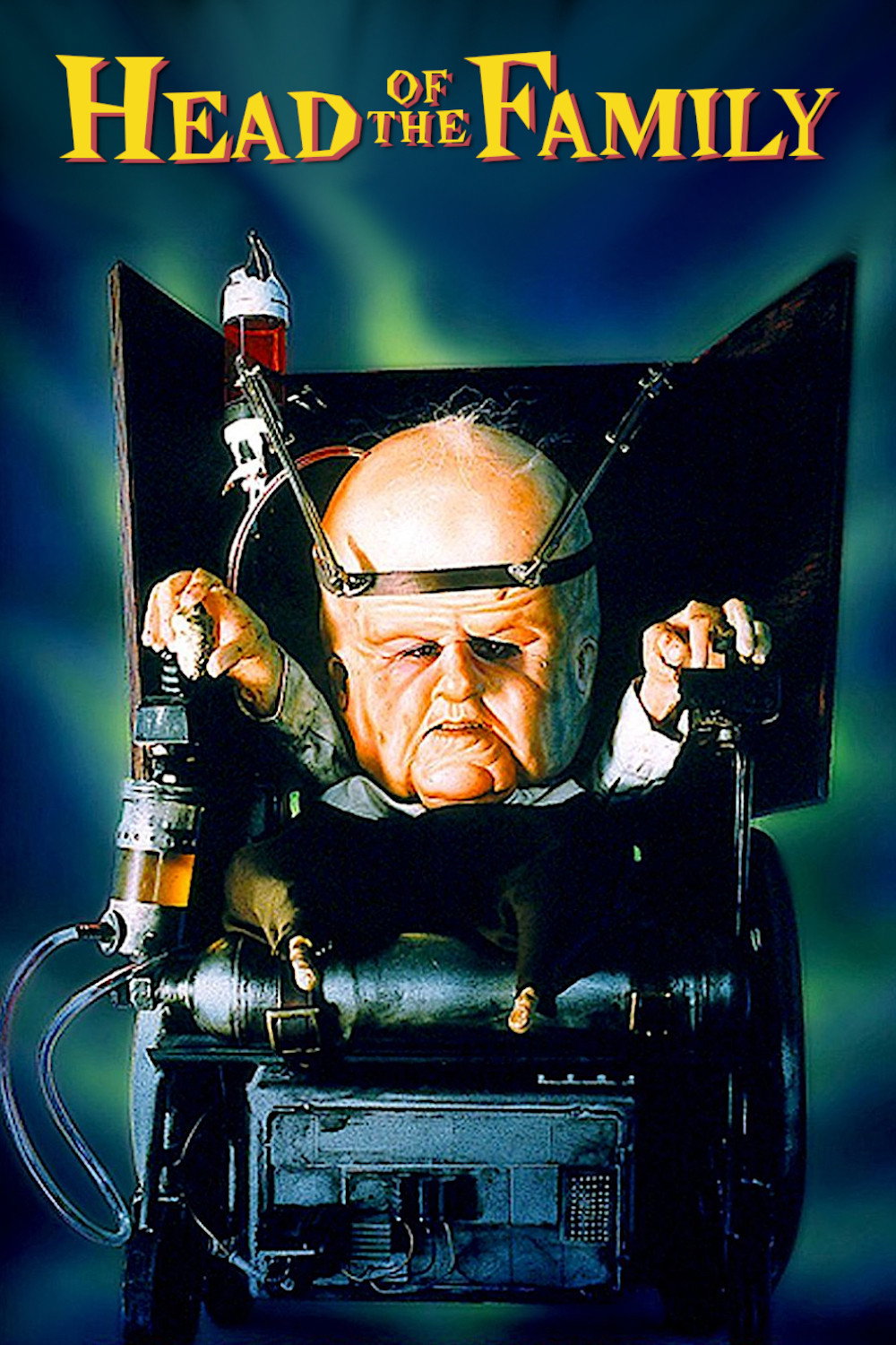 Head of the Family (1996) poster