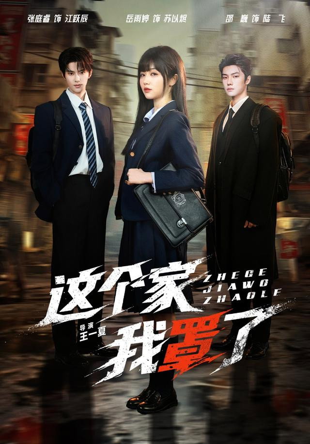 这个家我罩了 (2026) poster