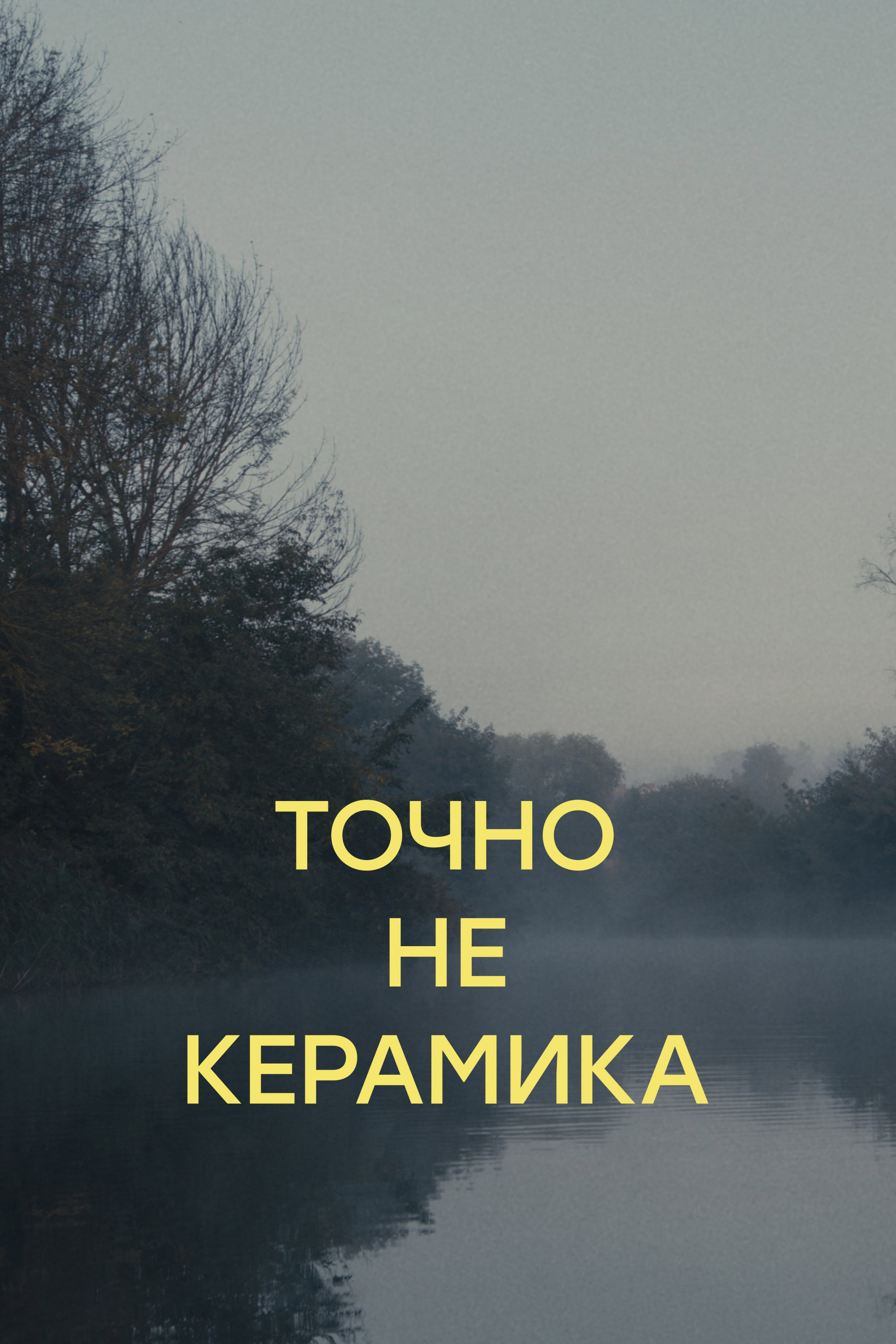 Definitely Not Ceramics (2024) poster