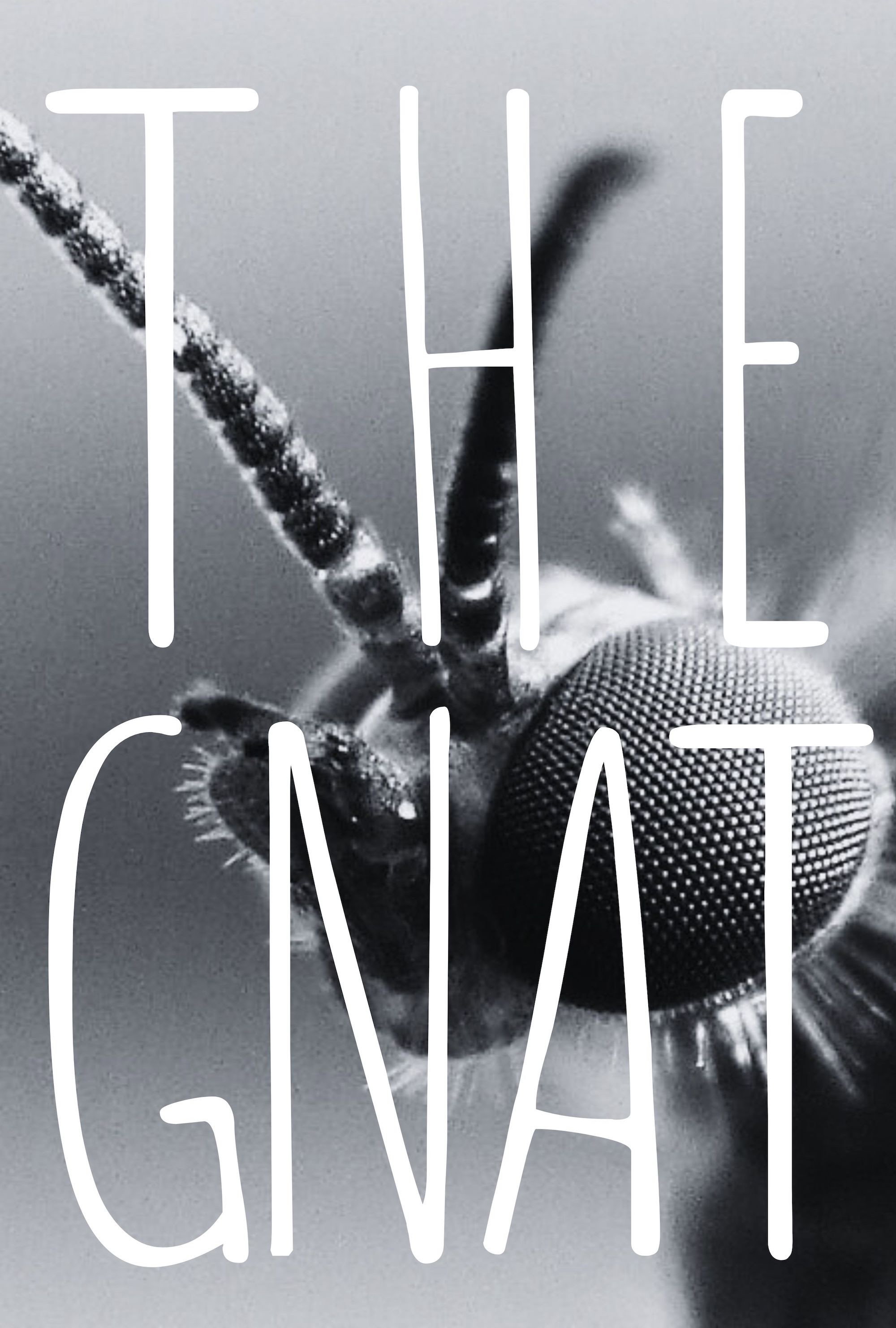 The Gnat (2026) poster