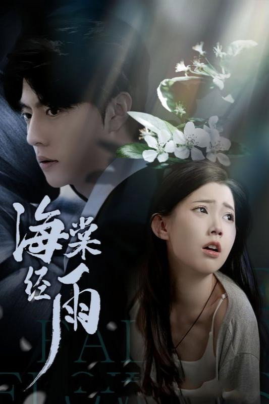 海棠经雨 (2024) poster