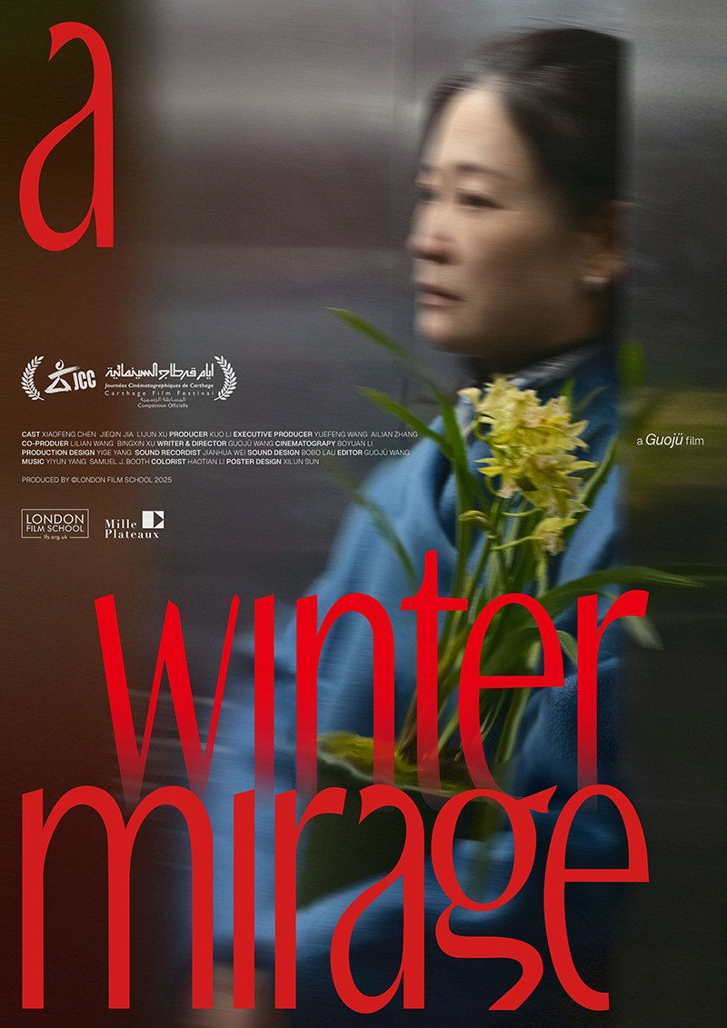A Winter Mirage (2026) poster