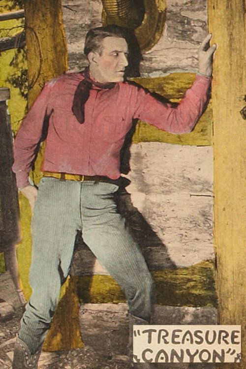 Treasure Canyon (1924) poster