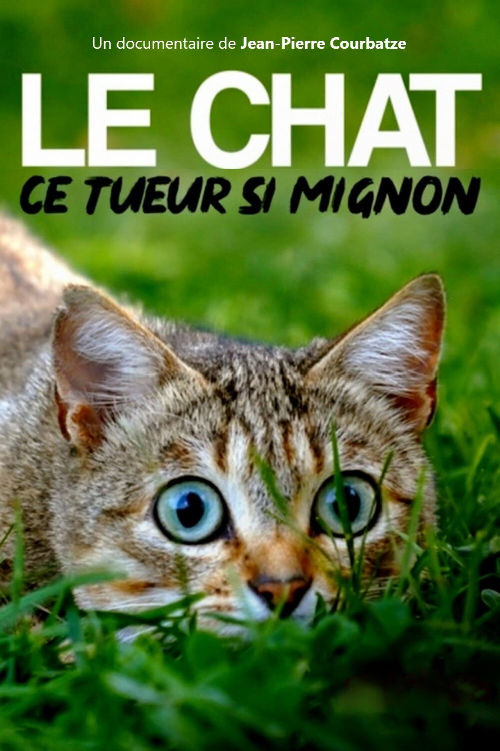 The Cat: A Cuddly Killer (2019) poster