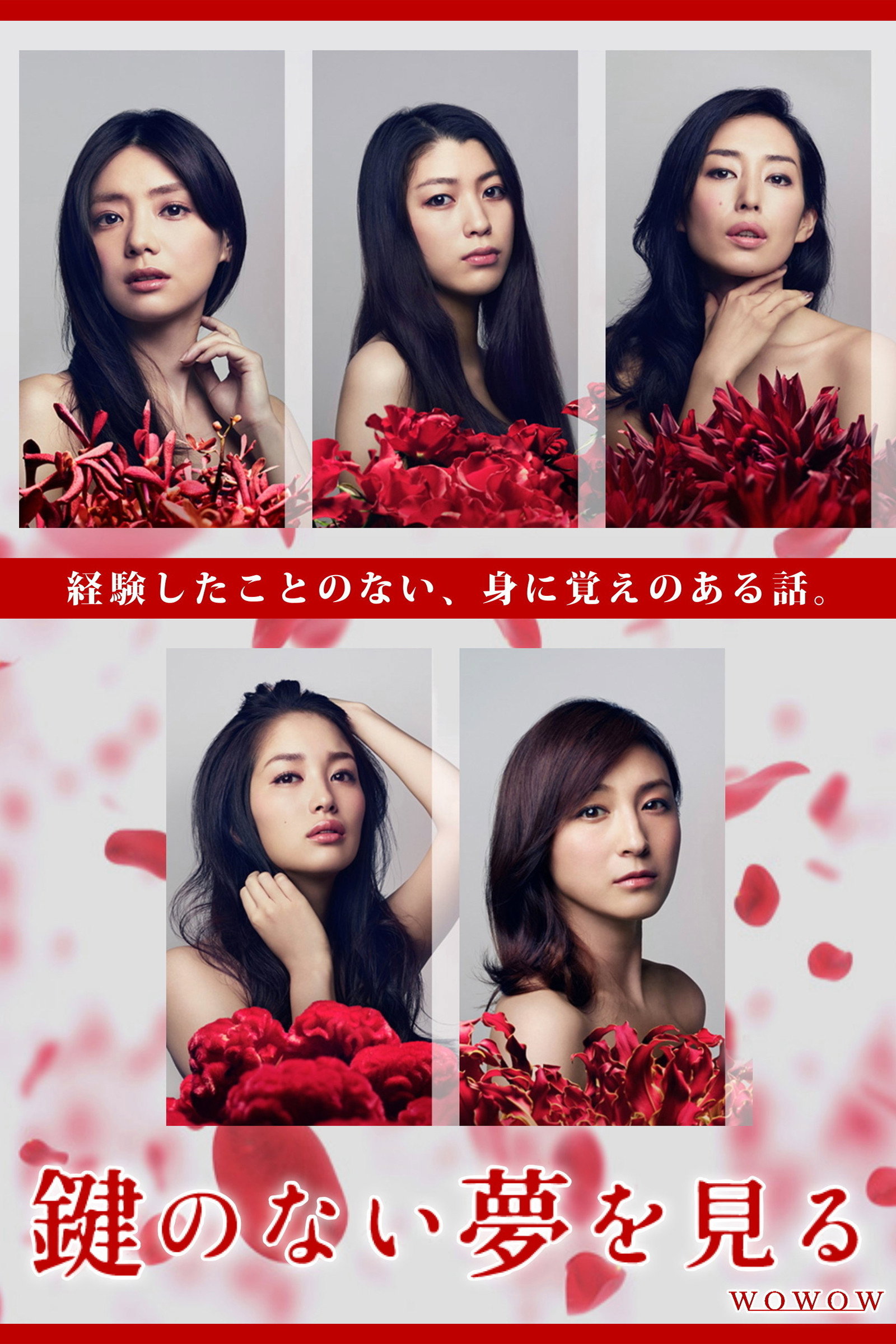 Kagi no nai Yume wo Miru (2013) poster