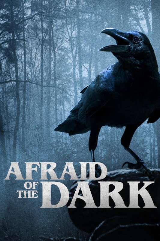 Afraid of the Dark (2010) poster