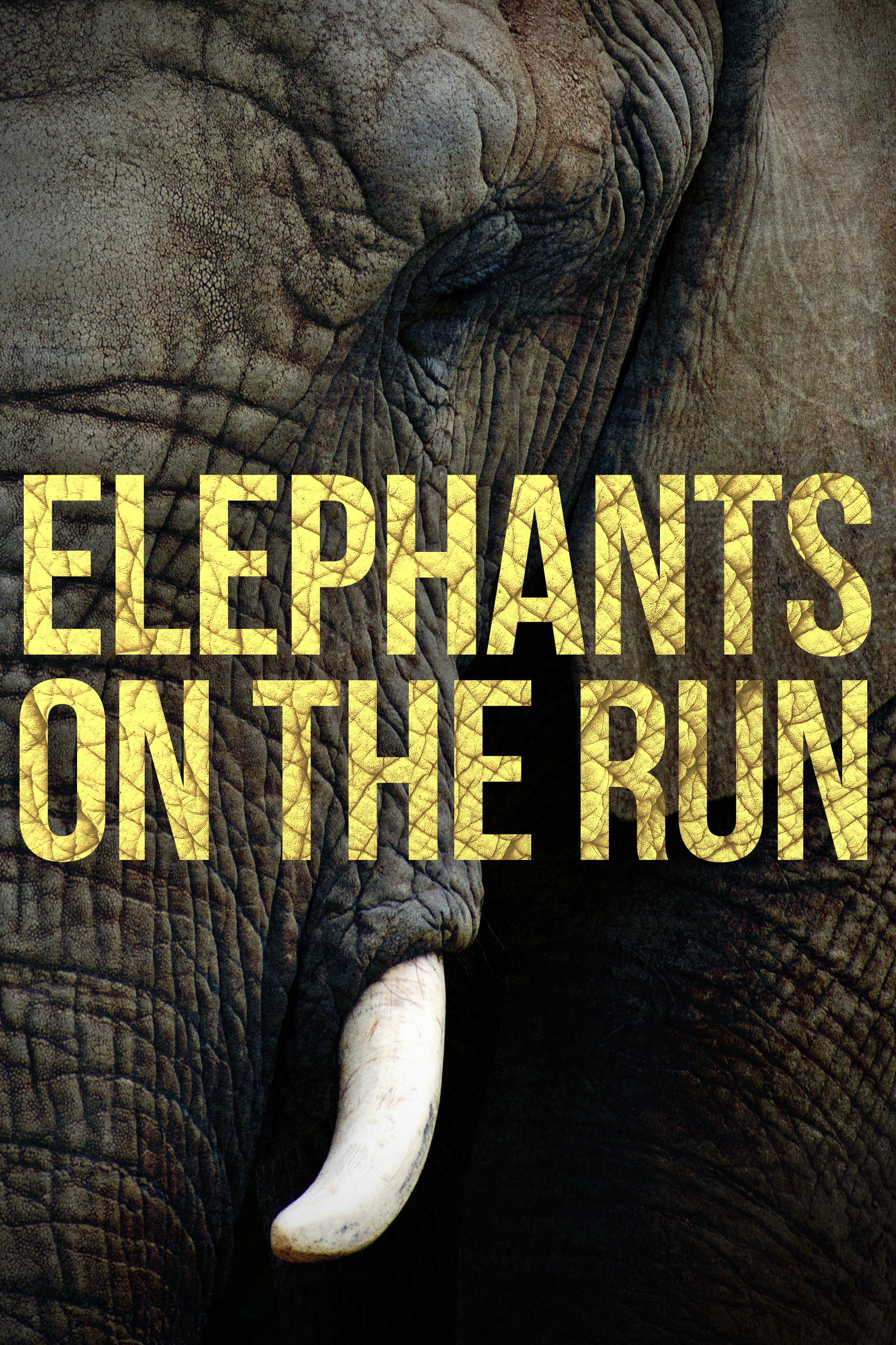 Elephants on the Run (2026) poster