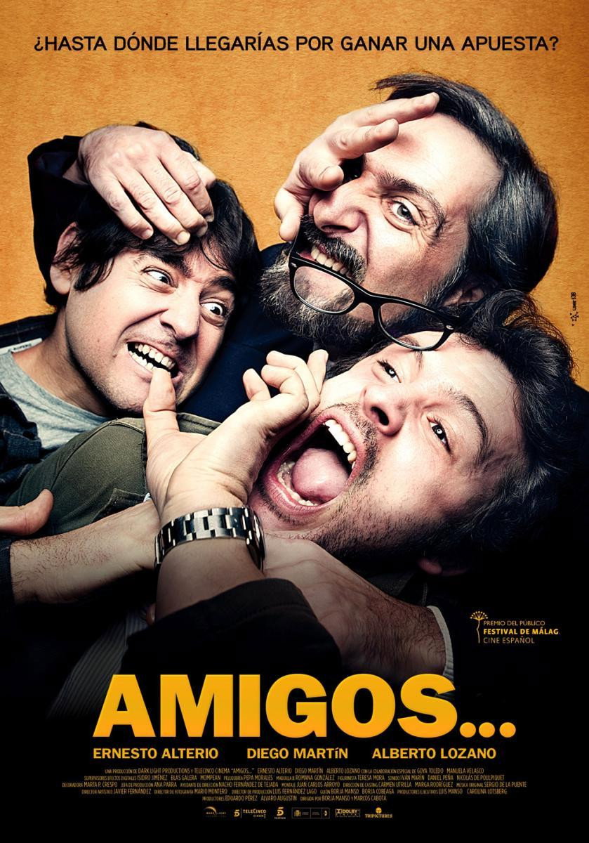 Amigos... (2011) poster
