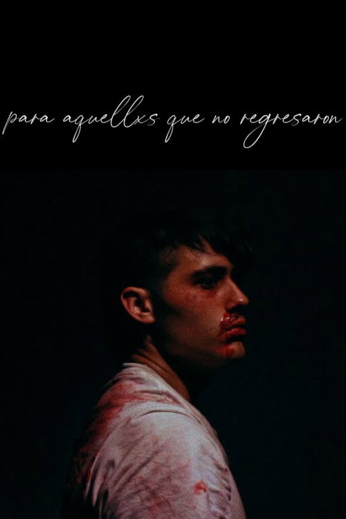 para aquellxs que no regresaron (2021) poster