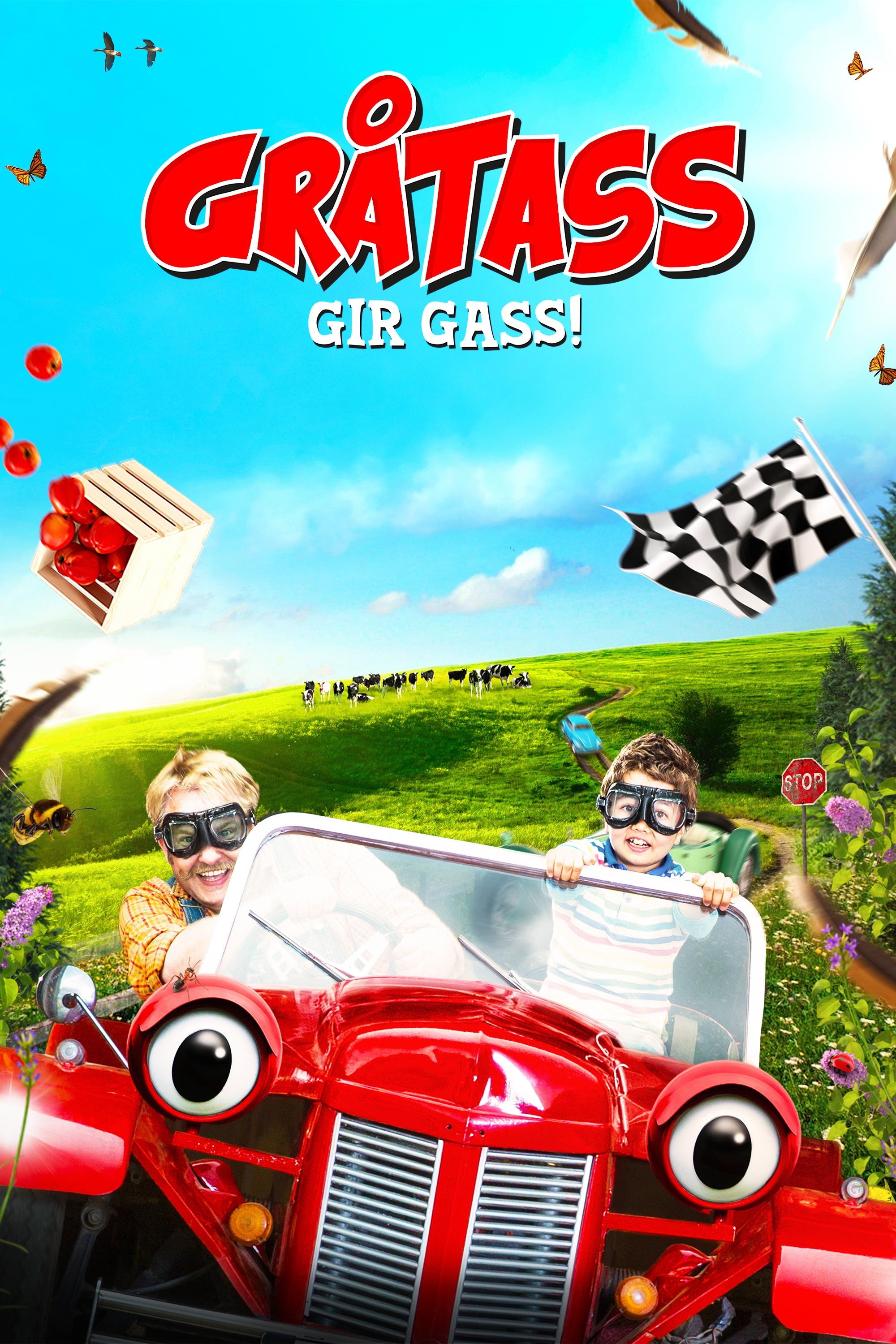 Little Grey Fergie Full Throttle! (2016) poster