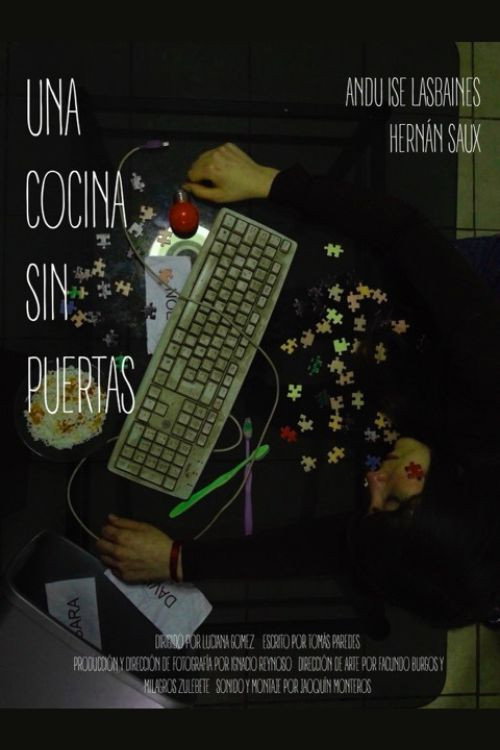 A kitchen without doors (2024) poster