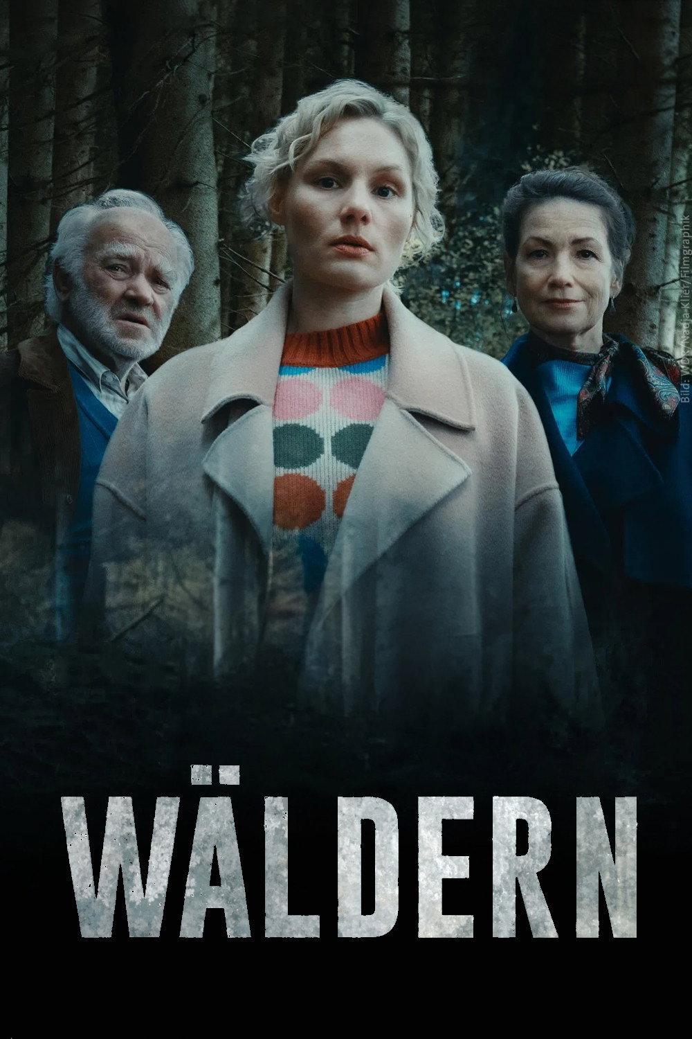 Wäldern (2024) poster