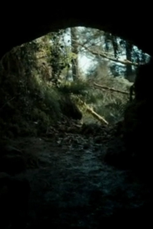 The Beast (2013) poster