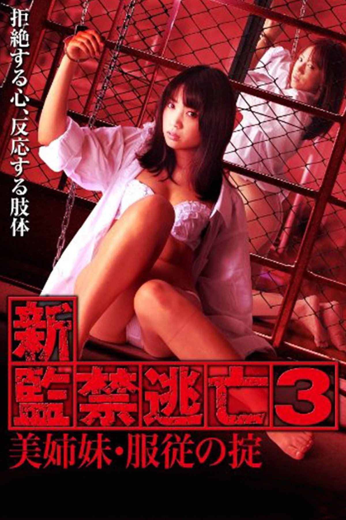 Escape Captivity 3: The Beautiful Sisters' Law of Submission (2010) poster