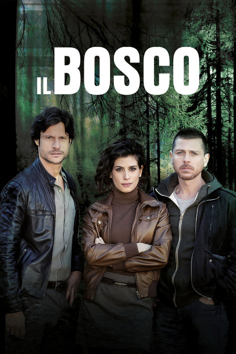 Il Bosco (2015) poster