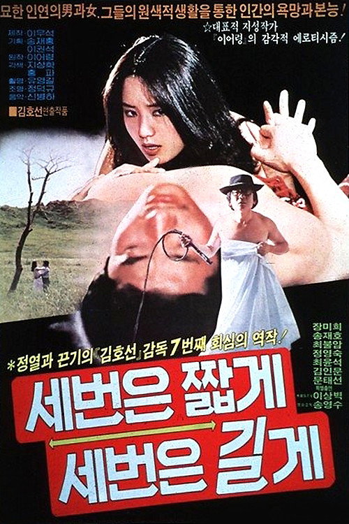 Three Times Each for Short and Long Ways (1981) poster