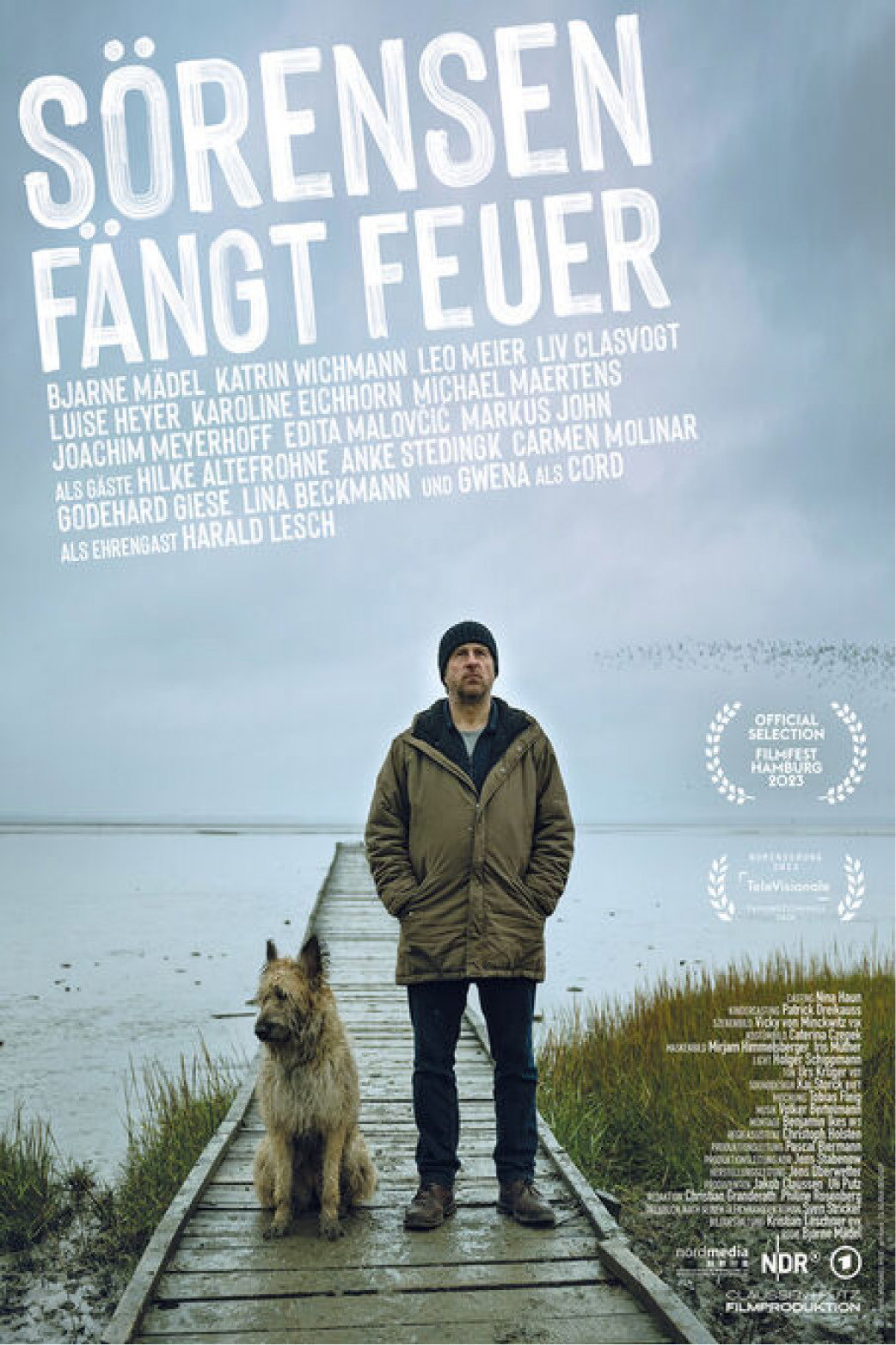 Sörensen Catches Fire (2023) poster