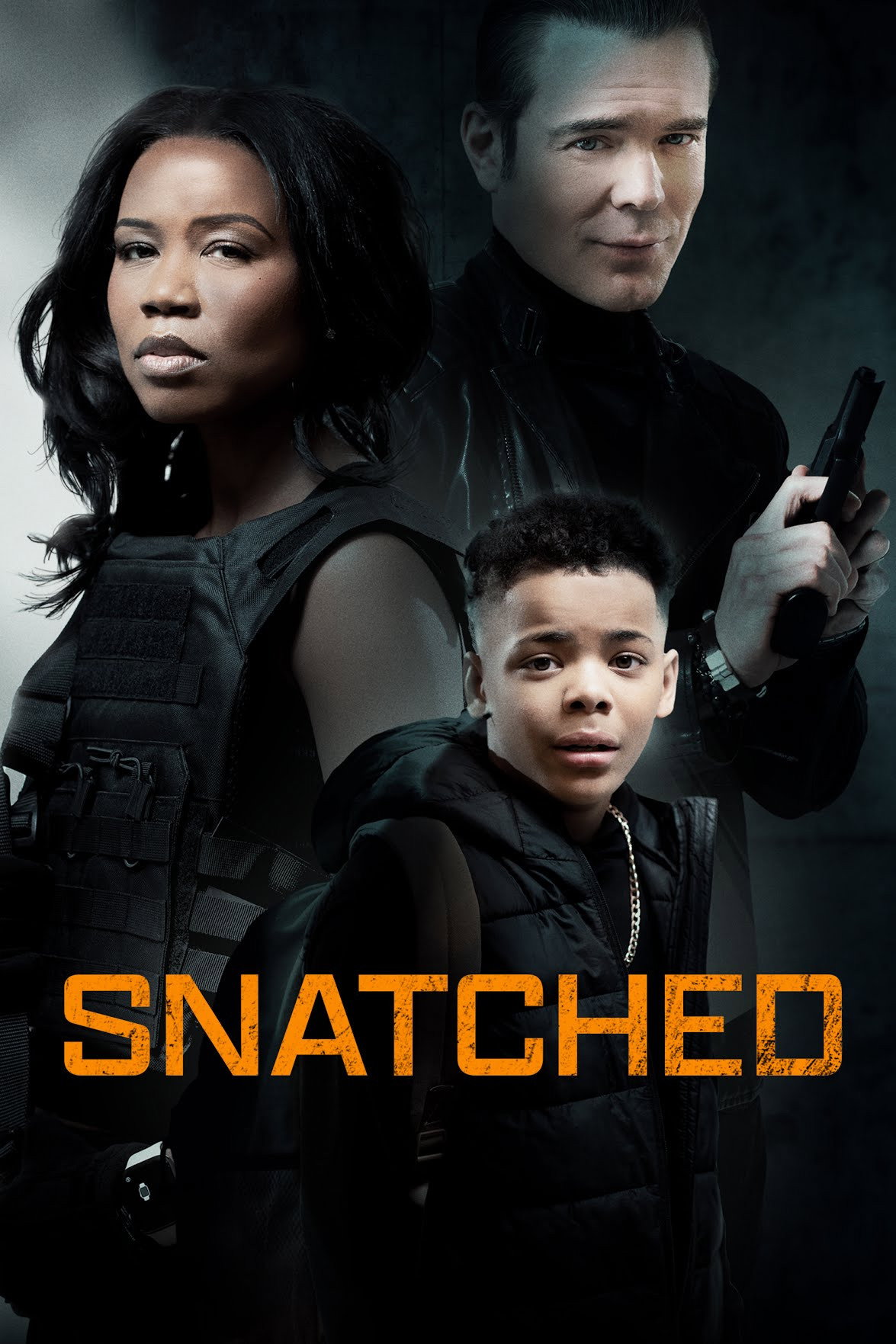 Snatched (2024) poster