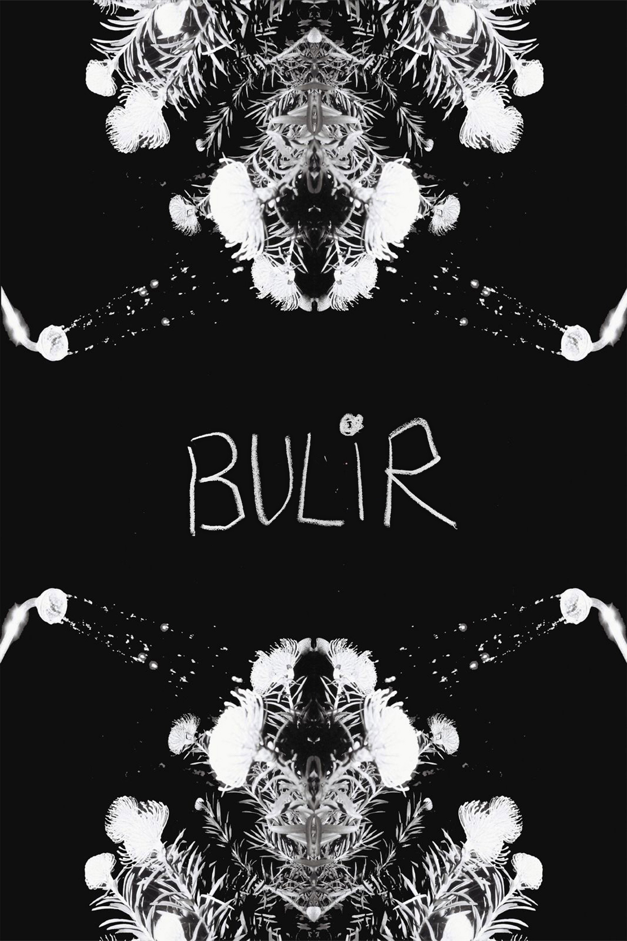 BULIR (2024) poster