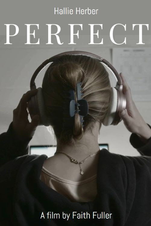 Perfect (2026) poster