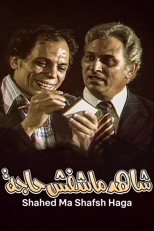 The Witness Who Didn't See Anything (1976) poster