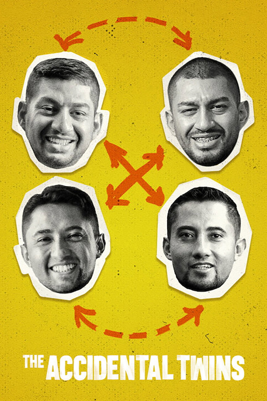 The Accidental Twins (2024) poster