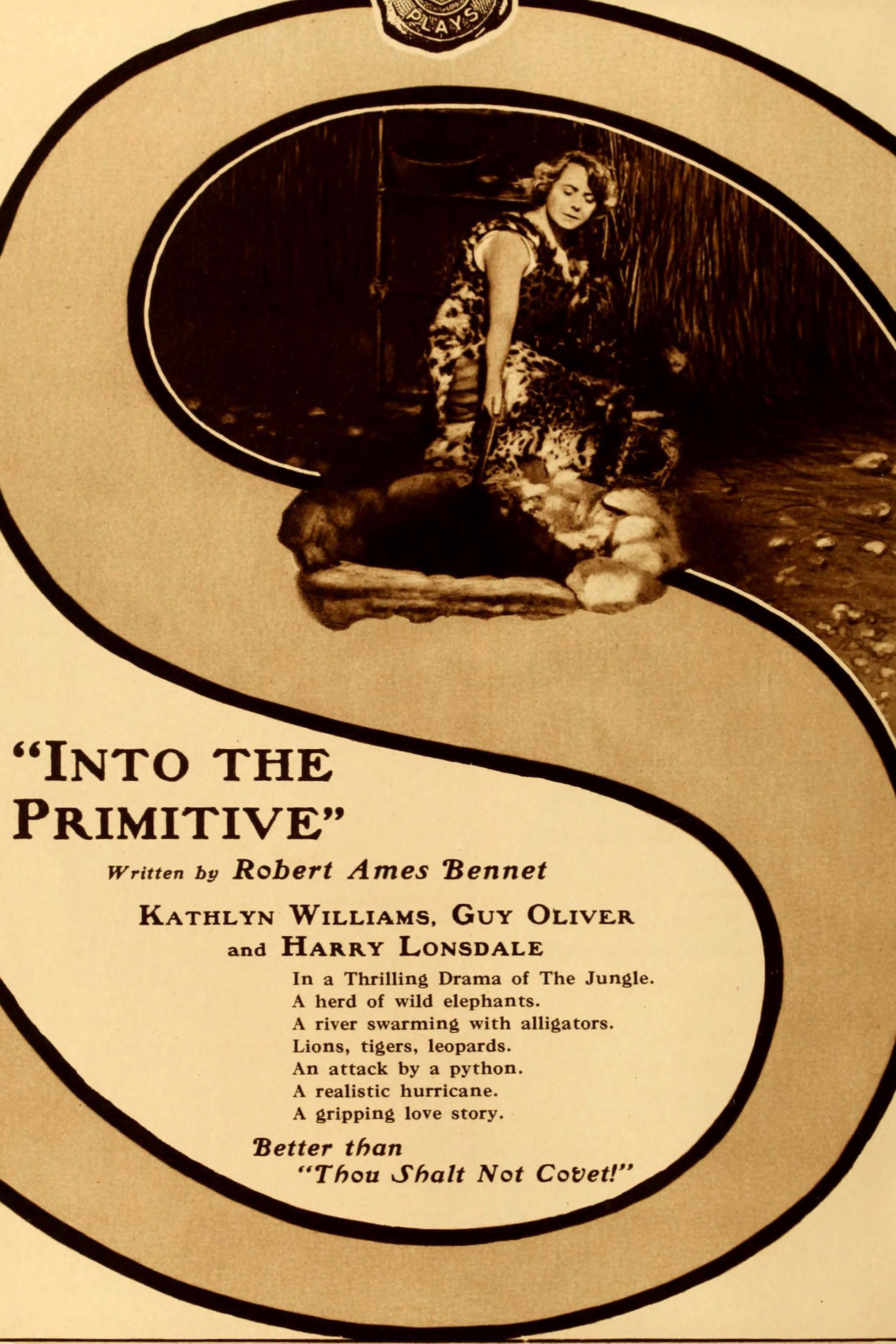 Into the Primitive (1916) poster