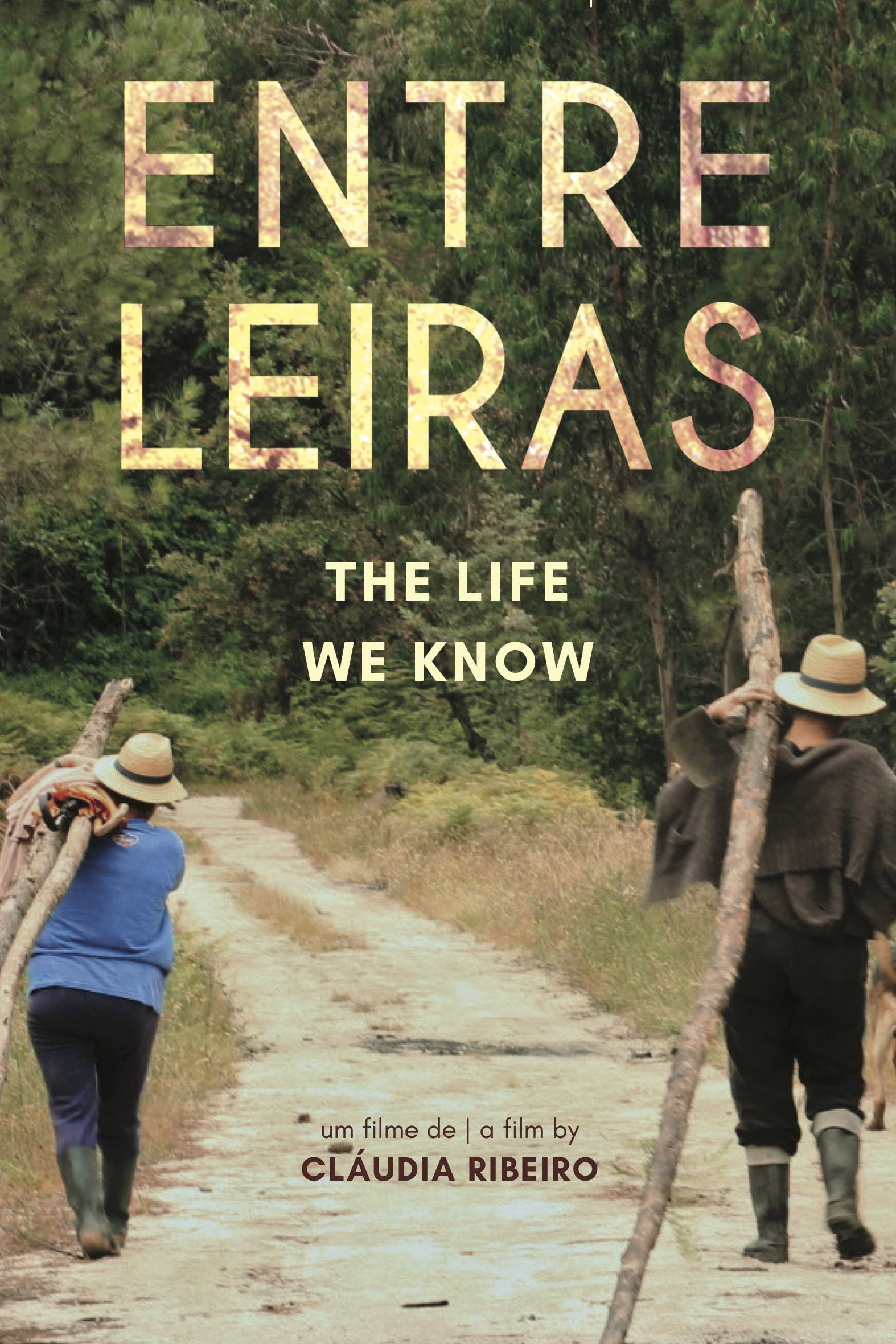 The Life We Know (2020) poster