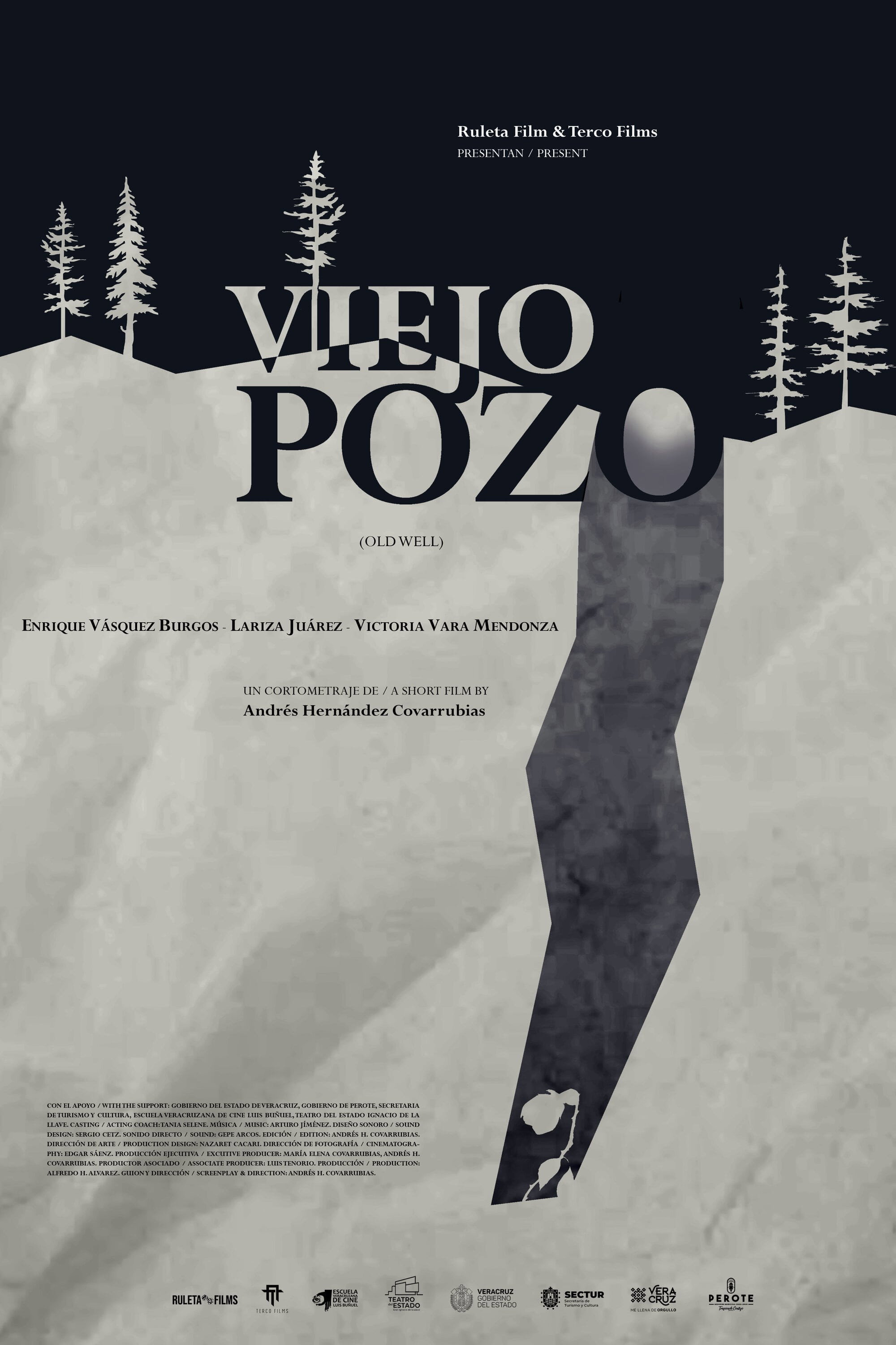Old Well (2024) poster