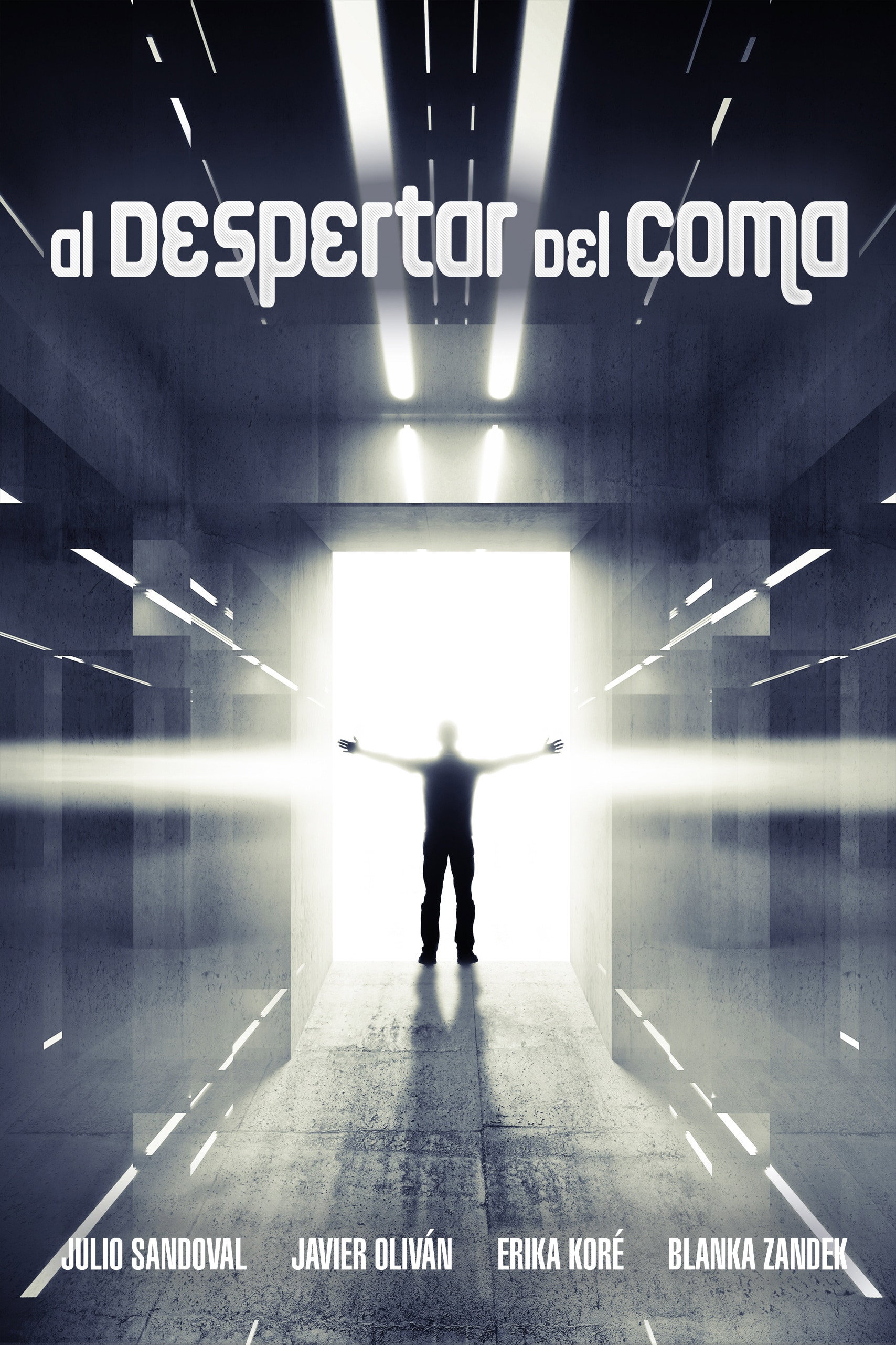 Waking Up From the Coma (2015) poster