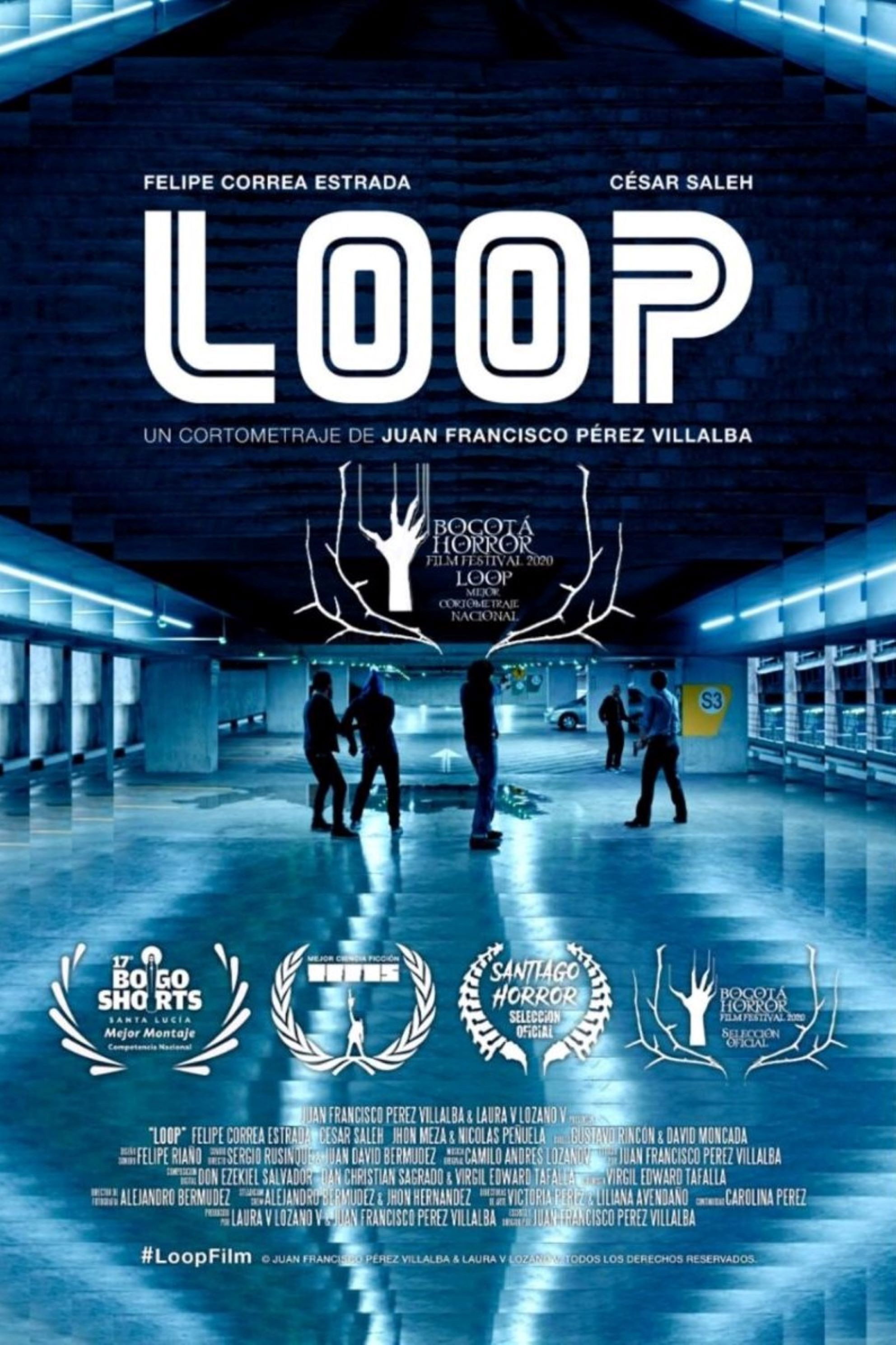 Loop (2019) poster