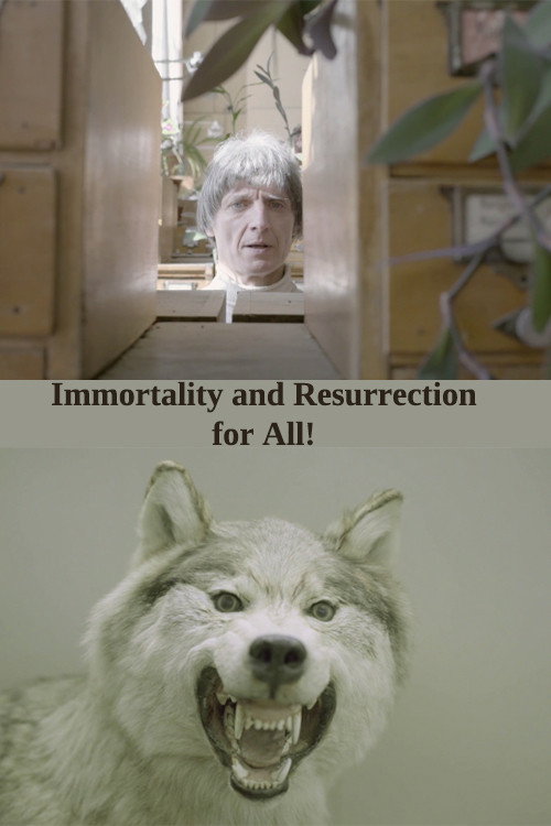 Immortality and Resurrection For All! (2017) poster
