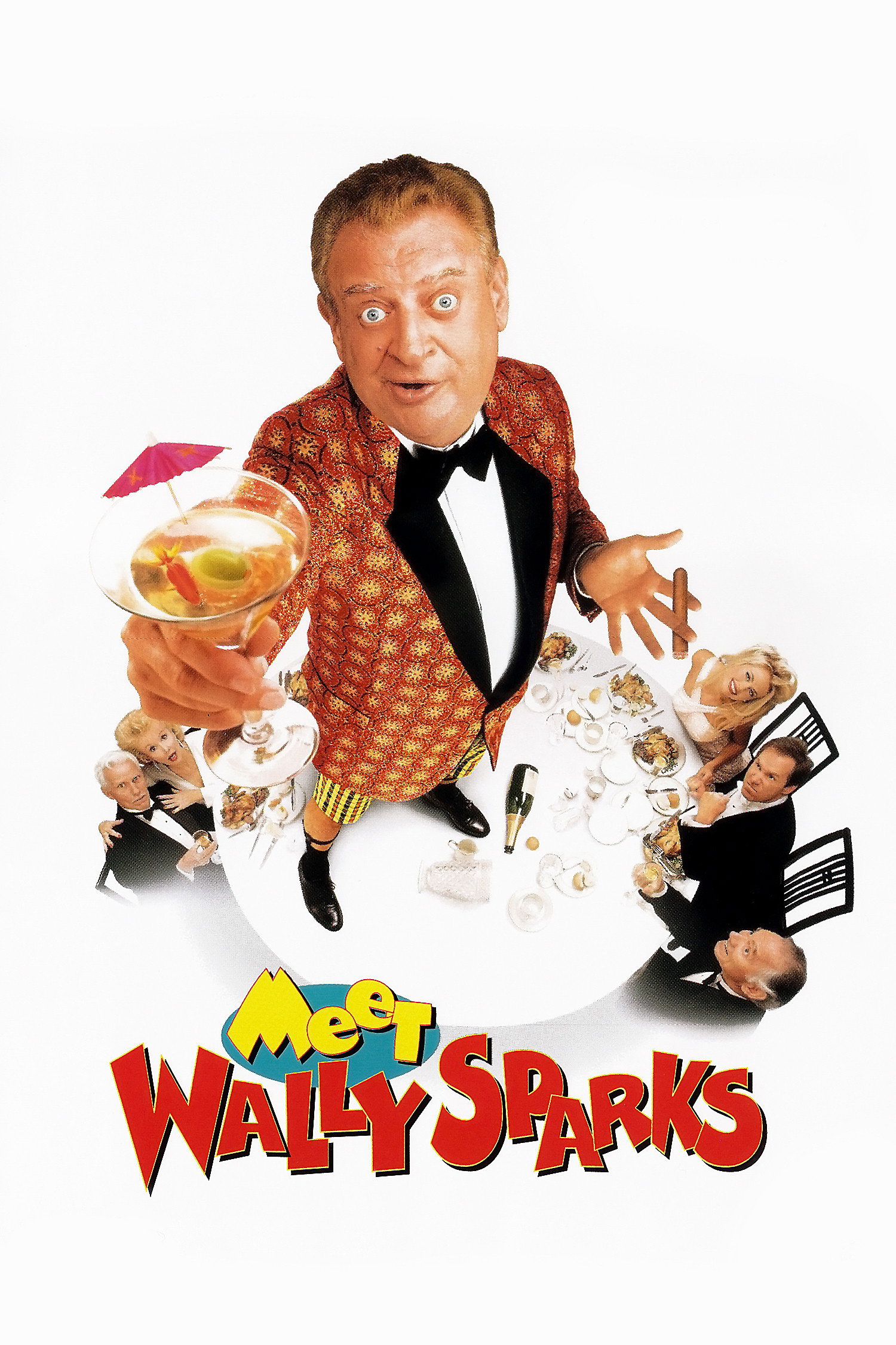 Meet Wally Sparks (1997) poster