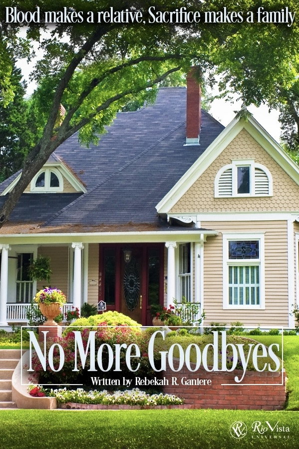 No More Goodbyes (2026) poster