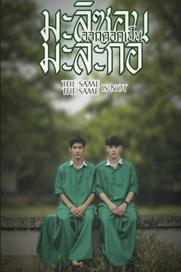 Same Same is Not the Same (2015) poster