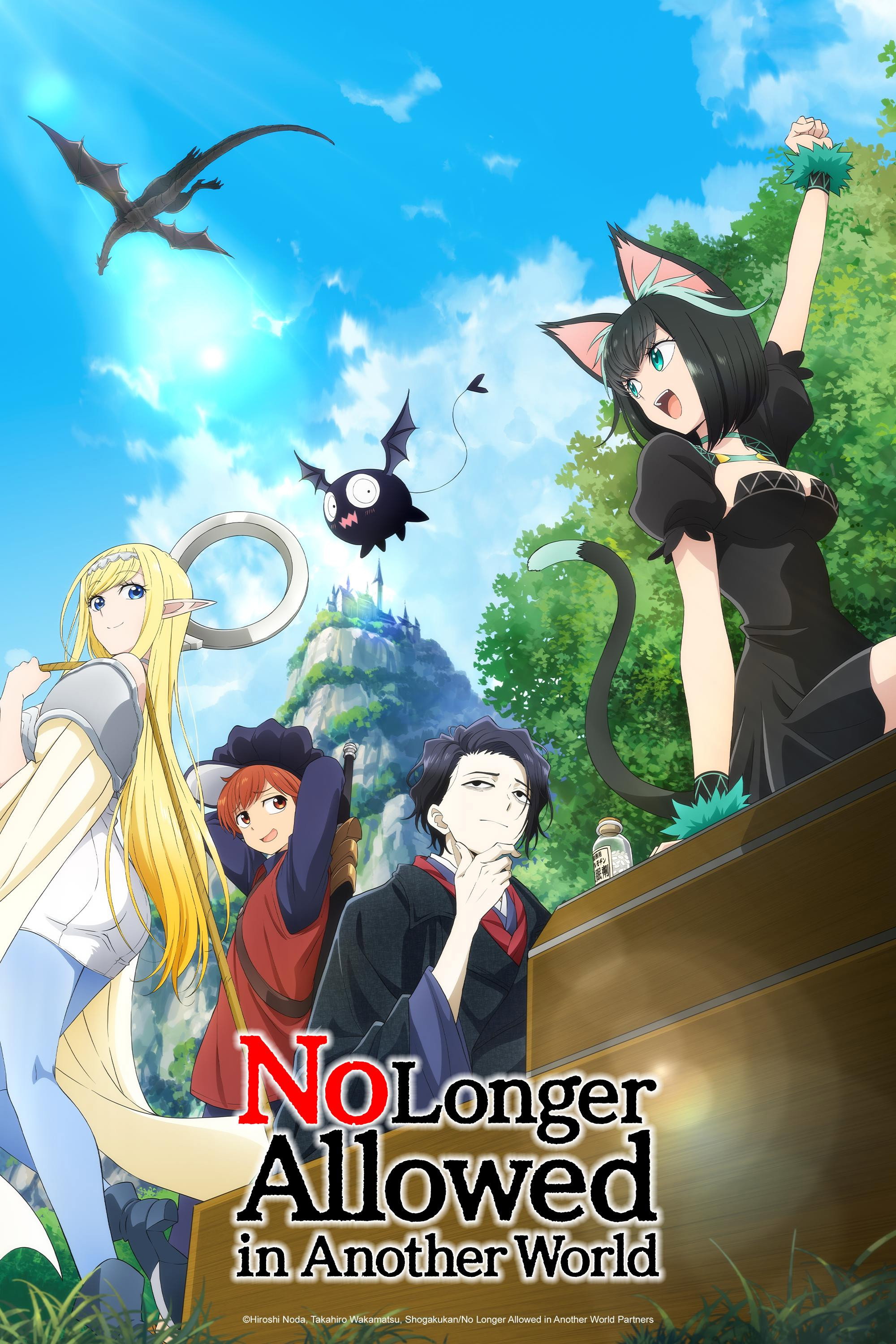 No Longer Allowed in Another World (2024) poster