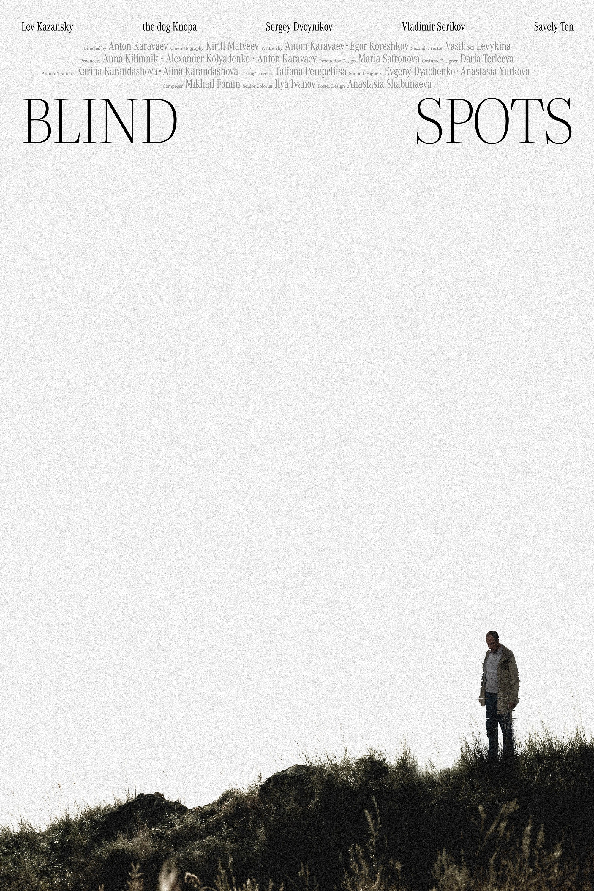Blind Spots (2026) poster