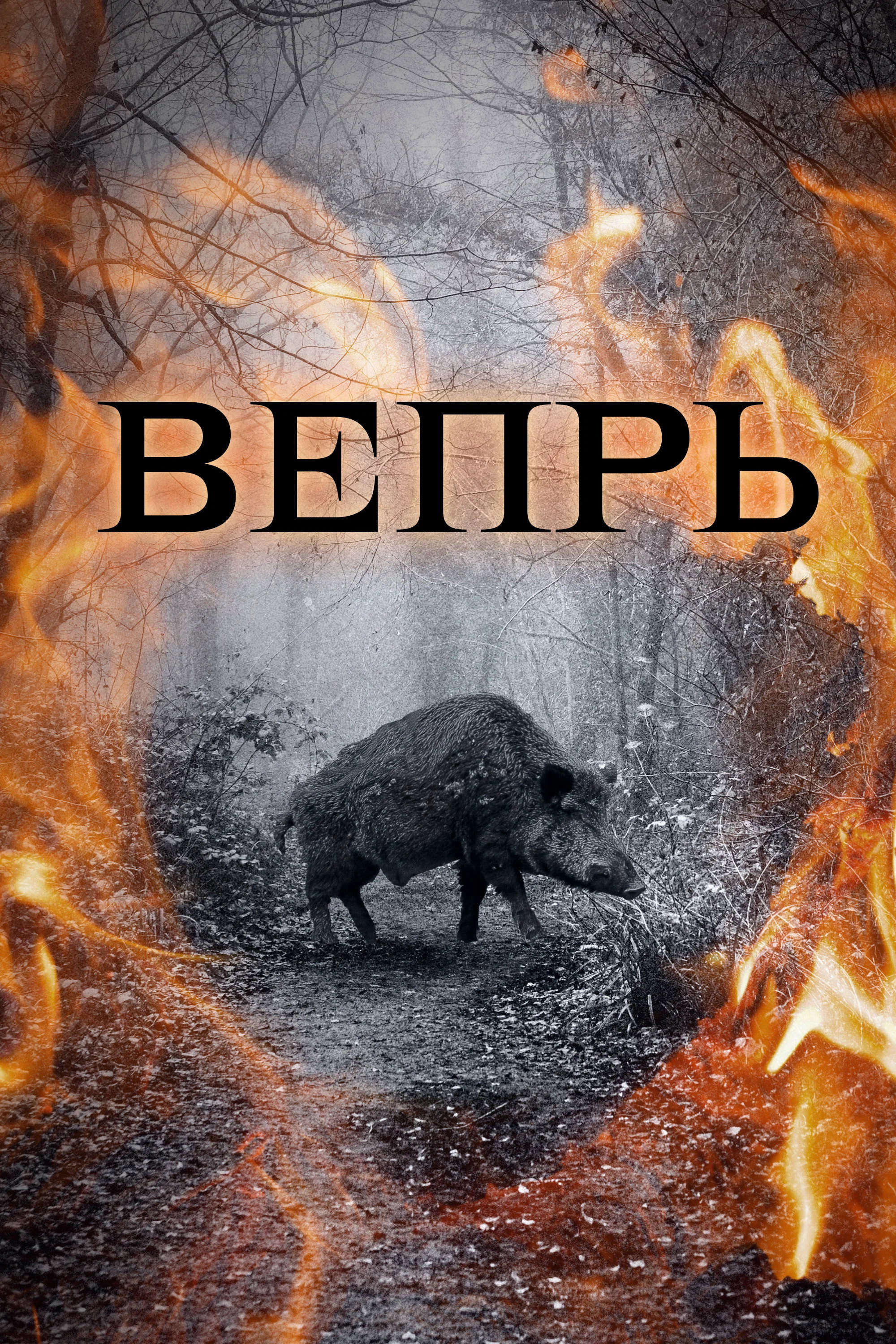 Вепрь (2005) poster