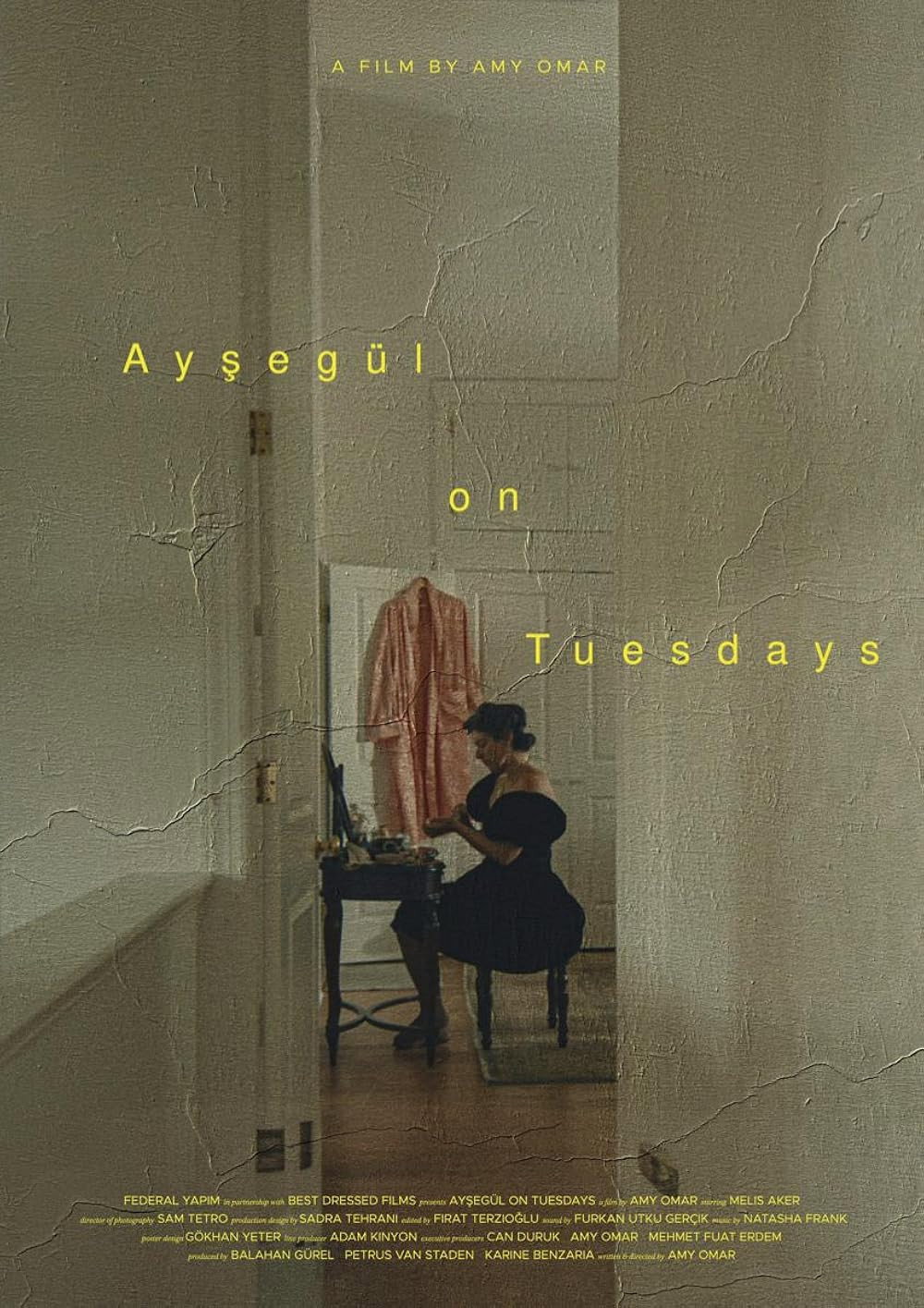 Ayşegül on Tuesdays (2025) poster