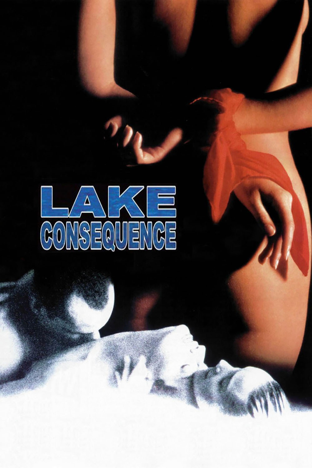 Lake Consequence (1995) poster