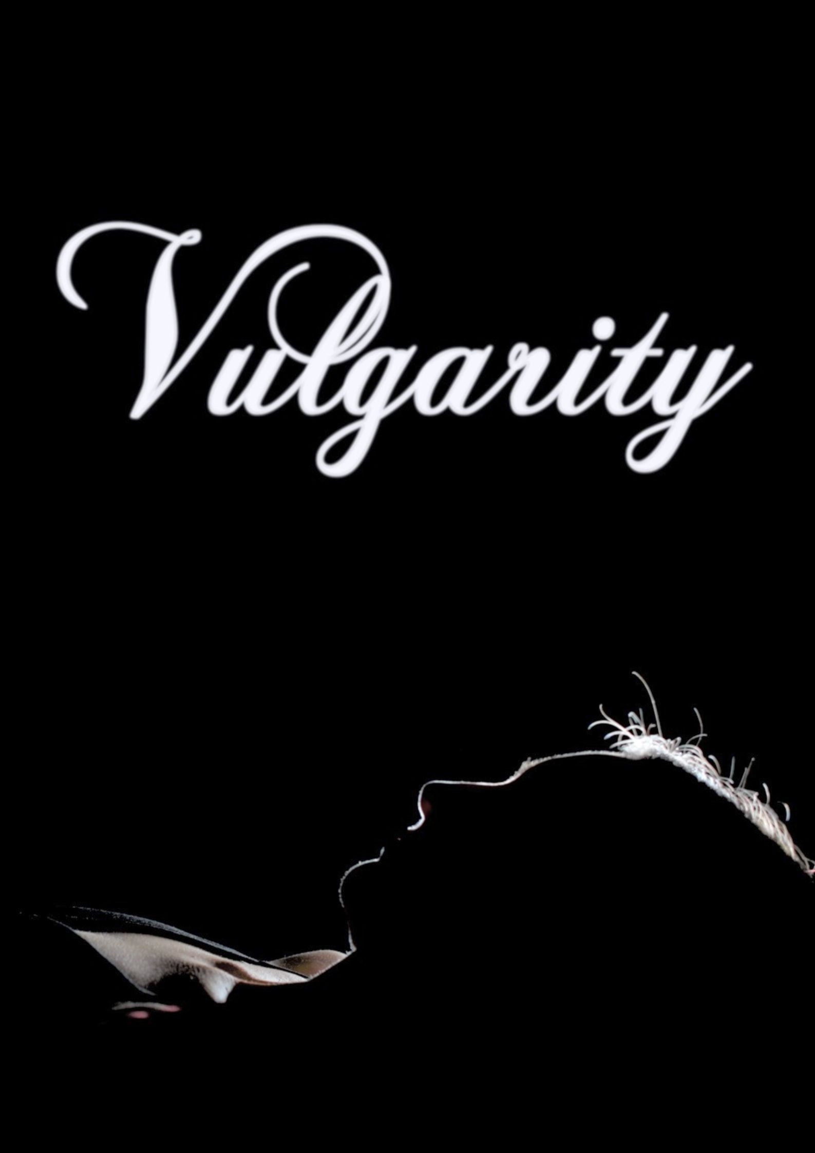 Vulgarity (2024) poster