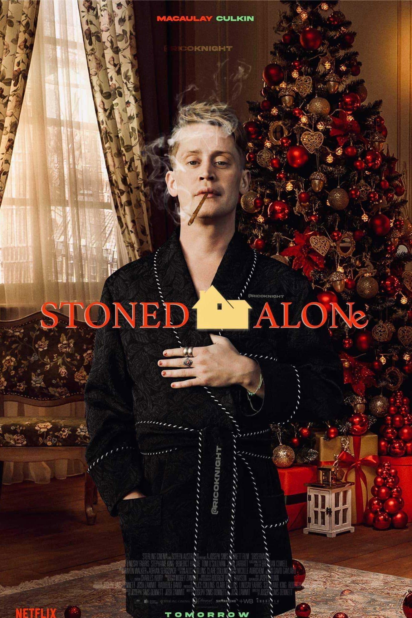 Stoned Alone (2026) poster