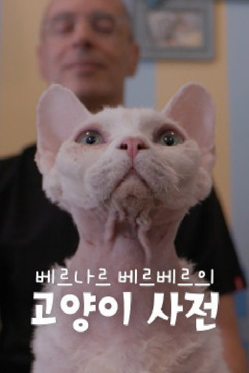 베르나르 베르베르의 고양이 사전 (2021) poster